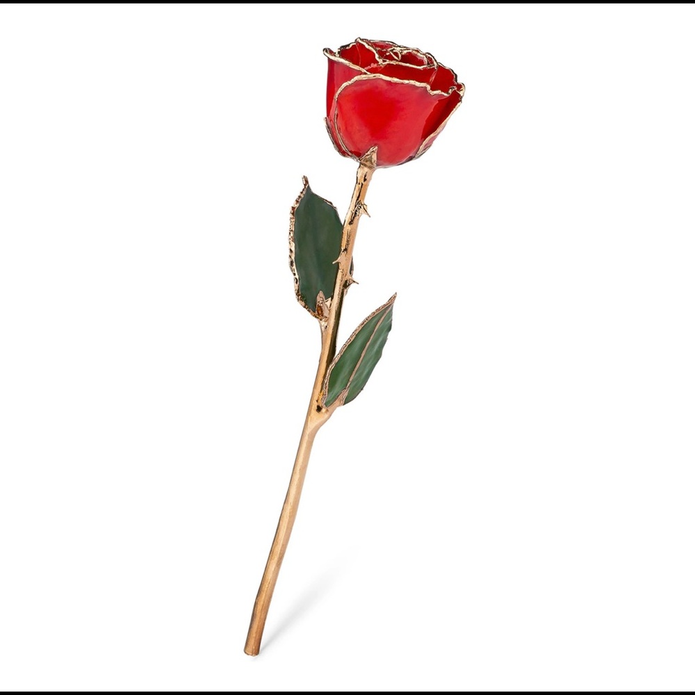 Forever Rose - 24K Gold Trimmed Rose